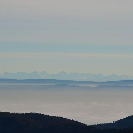Doller Villa 4 Stars Hot Tub Mountain Ski Ballon D'Alsace Sewen Eksteriør bilde