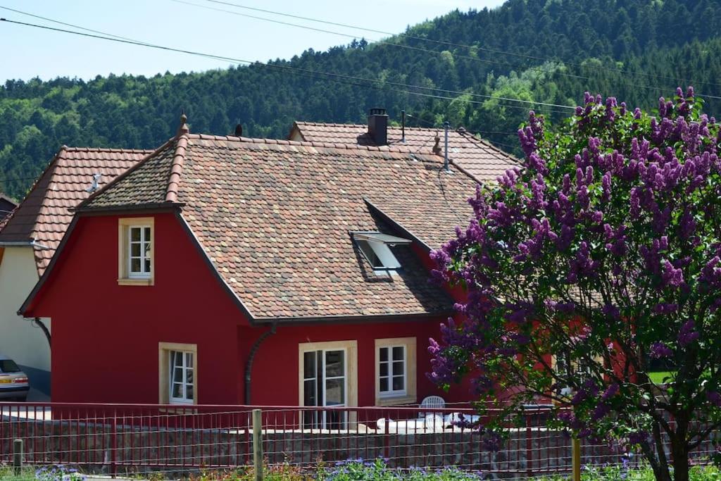 Doller Villa 4 Stars Hot Tub Mountain Ski Ballon D'Alsace Sewen Eksteriør bilde