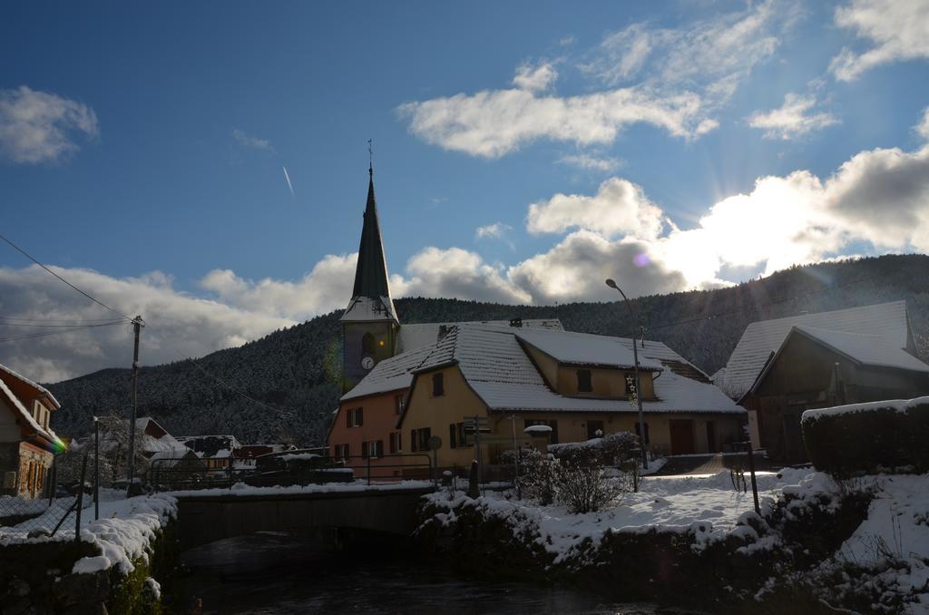 Doller Villa 4 Stars Hot Tub Mountain Ski Ballon D'Alsace Sewen Rom bilde